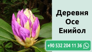 Деревня Осе Енийол